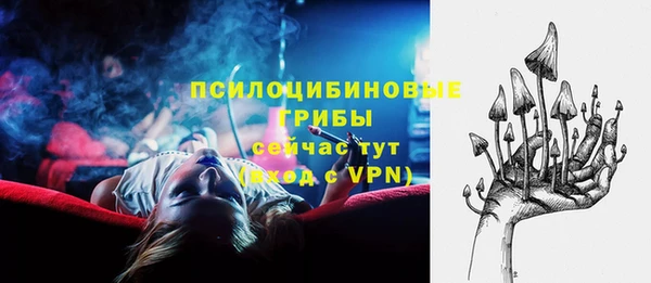 прущие грибы Белоозёрский