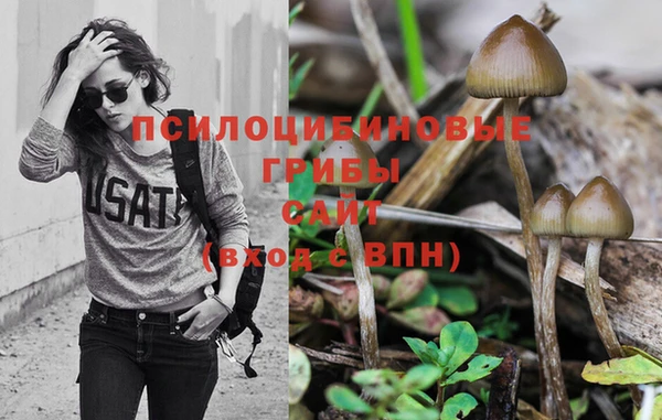 PSILOCYBIN Белокуриха