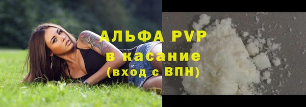 PSILOCYBIN Белокуриха
