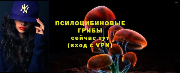 прущие грибы Белоозёрский