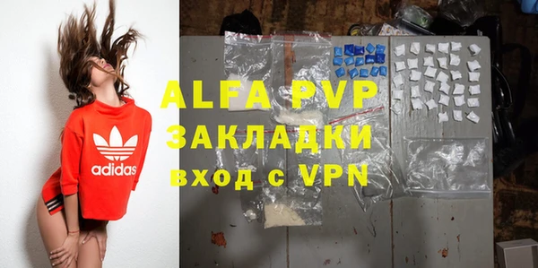 PSILOCYBIN Белокуриха