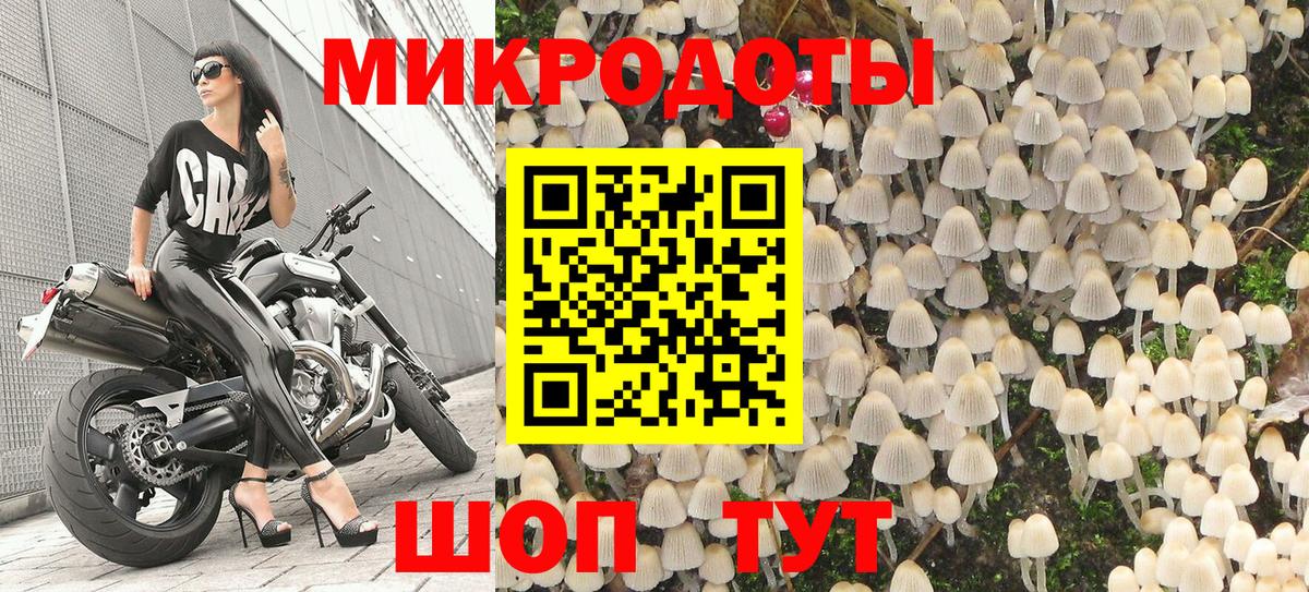 Псилоцибиновые грибы мицелий Буйнакск