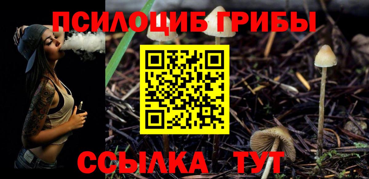 Псилоцибиновые грибы мицелий  Вход с VPN  Буйнакск 